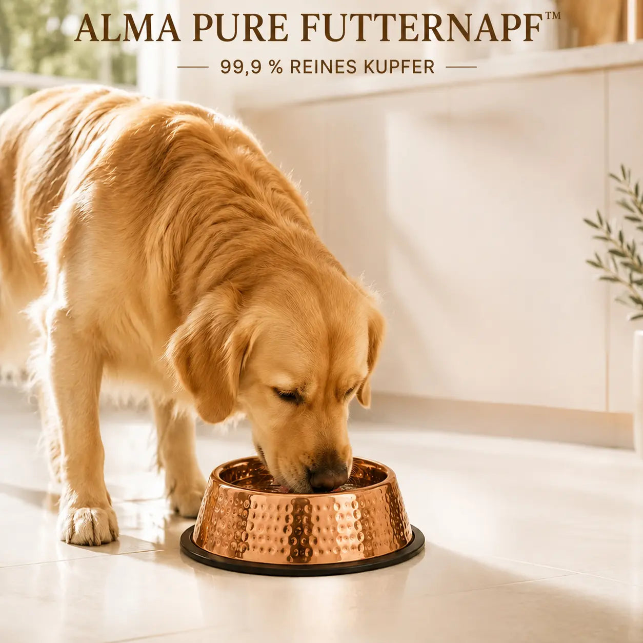 Alma Pure Napf aus 99,9 % reinem Kupfer für Hunde und Katzen