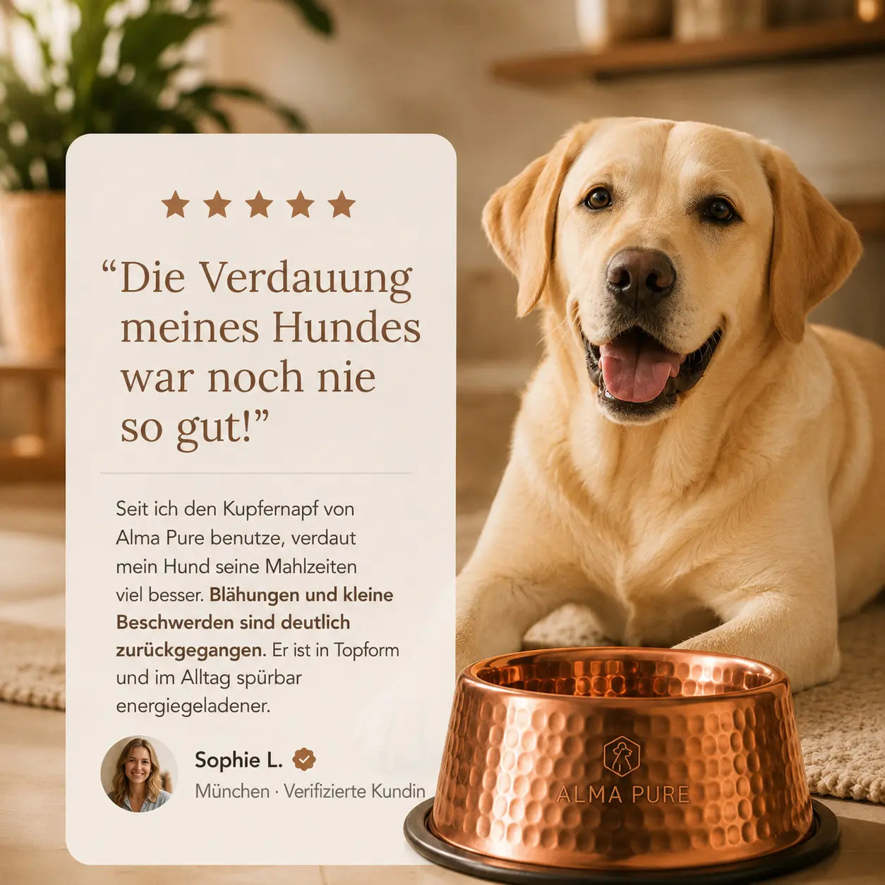 Alma Pure Napf aus 99,9 % reinem Kupfer für Hunde und Katzen